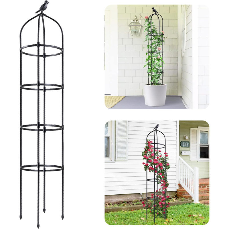 Lylo 70" H x 13" W Obelisk Trellis Plastic with Metal Pipe Core