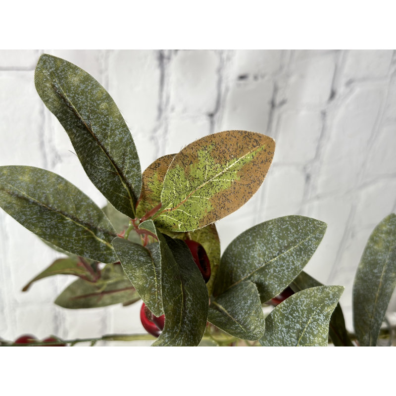 Arrosage loquat à chute de fruits faux, Rouge
