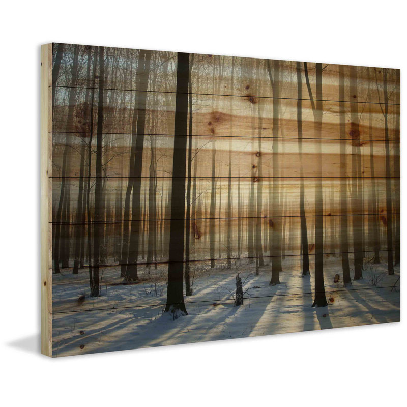 « Papineau » par Parvez Taj - impression d'une photo sur bois, H 12 po x l 18 po