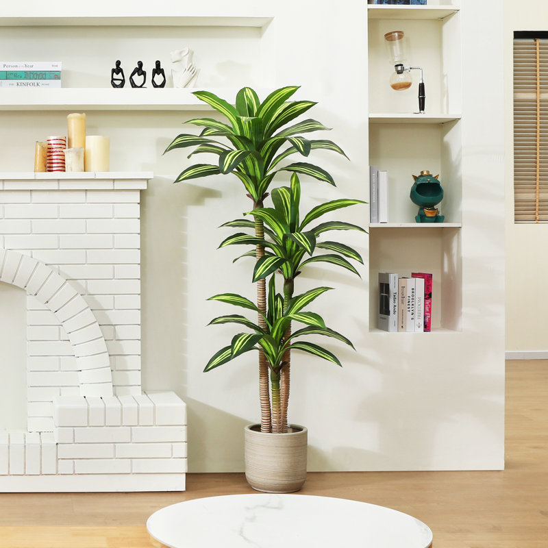 Adcock Artificial Dracaena Tree in Pot, 59" H x 40" W x 40" D