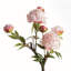 PEONY BRANCH 25inch-1419418285