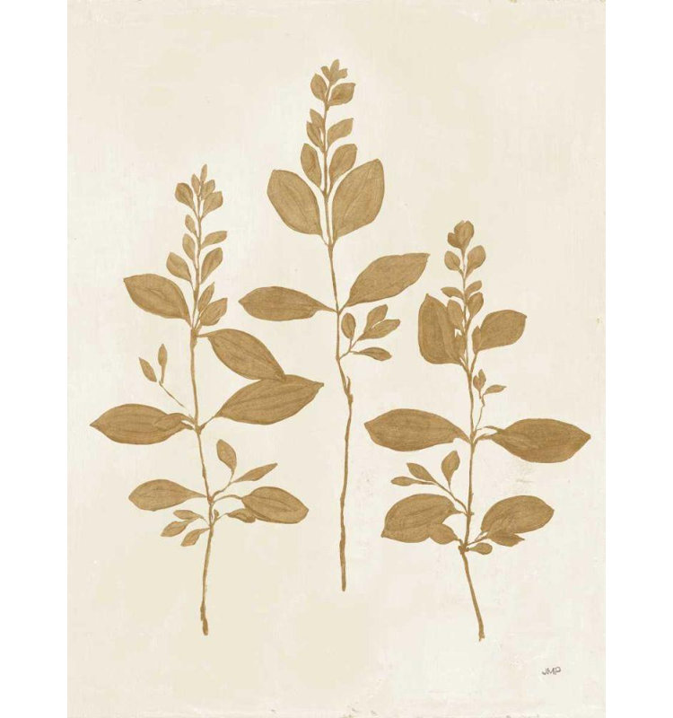 Art sur toile tendue avec galerie Lark Manor ™ Purinton, Julia: Botanical Study IV Gold Crop, H 24 po x l 19 po