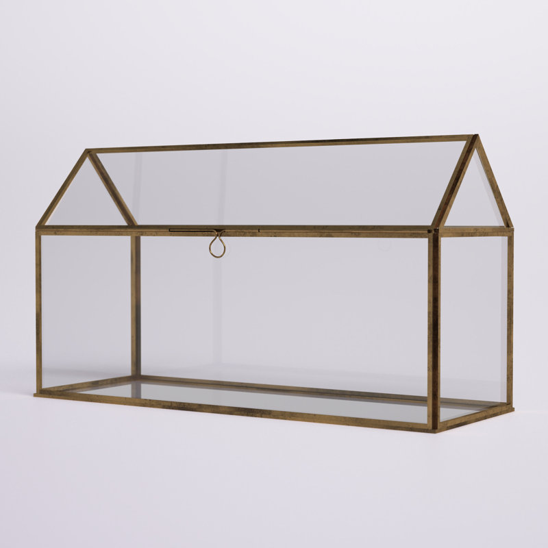 Terrarium en verre Jago