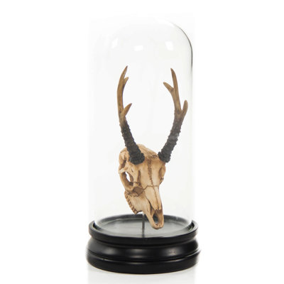 Fawn Skull with Bell Glass