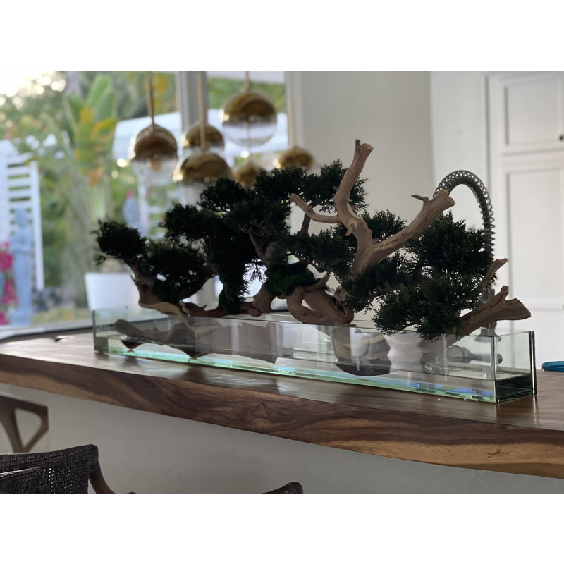 Faux Bonsai Tree in Planter, Dark Green, 10" H x 40" W x 8" D