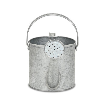 Valta Galvanized Metal Decorative Watering Can