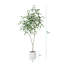 Anasta faux ficus avec pot de fleurs ovale blanc-632575342