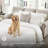 Francie Upholstered 87'' Sleeper Sofa