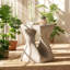 Christopher Knight Home 11.75" W x 11.75" D x 16" H Faux Wood Grain Magnesium Oxide Side Table