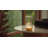 AUGE LIGHT Magi Series Mini Novelty Table Lamp-95277754