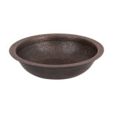 Terra Firma 16'' L Bathroom Sink
