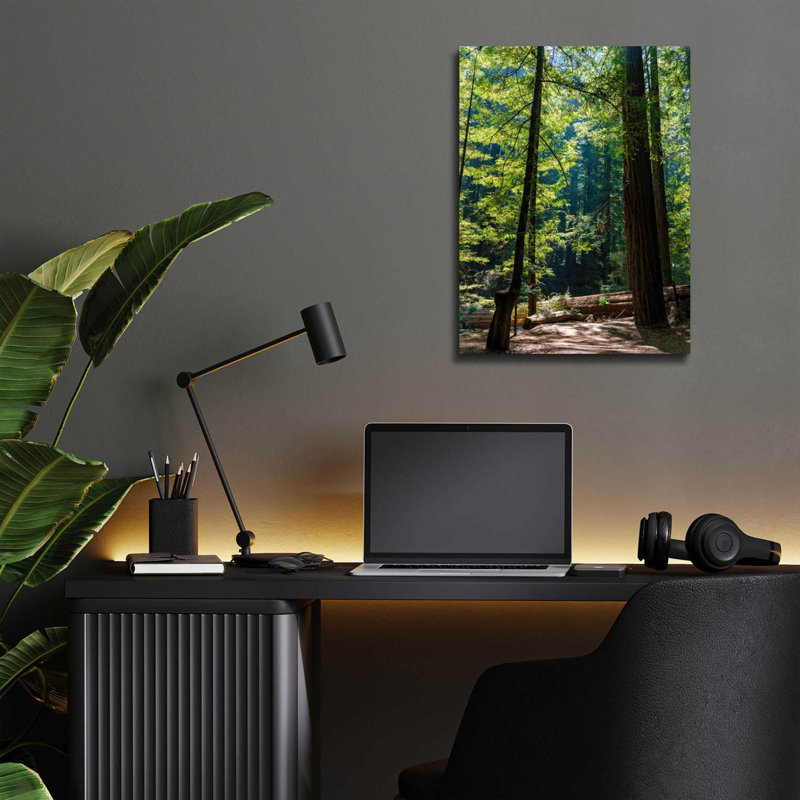 'Trees 3' by Epic Portfolio, Acrylic Glass Wall Art, 16" H x 12" W x 0.13" D