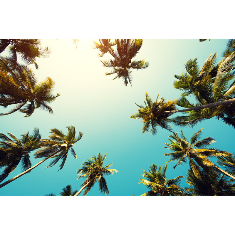 Palm trees, 81cm H x 122cm W