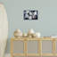 Seashell Shore Finds, art de la giclée encadrée par Jeanette Vertentes-224678736-224678737
