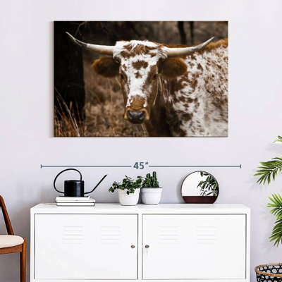Brampt Longhorn Bull
