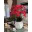 Phalaenopsis Orchid Floral Arrangement in Pot-1766237183