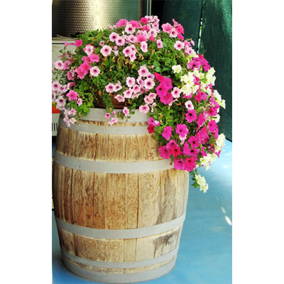 Wood Barrel Planter