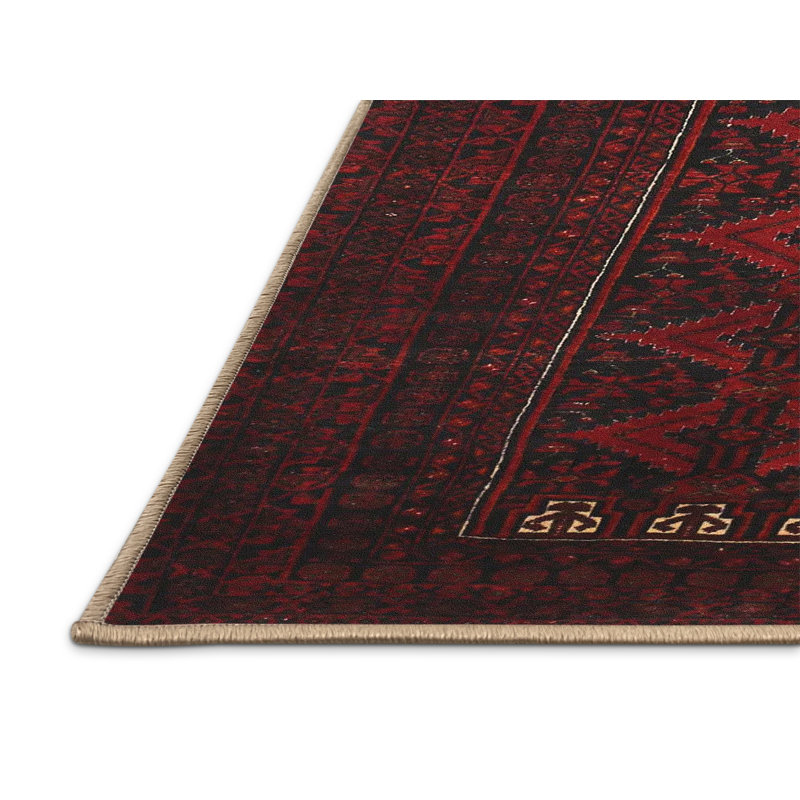 Castera Oriental Indoor Rug, Rectangle 4' x 6'