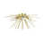 Soft Gold/Polished Brass