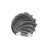 Ice Gray selected