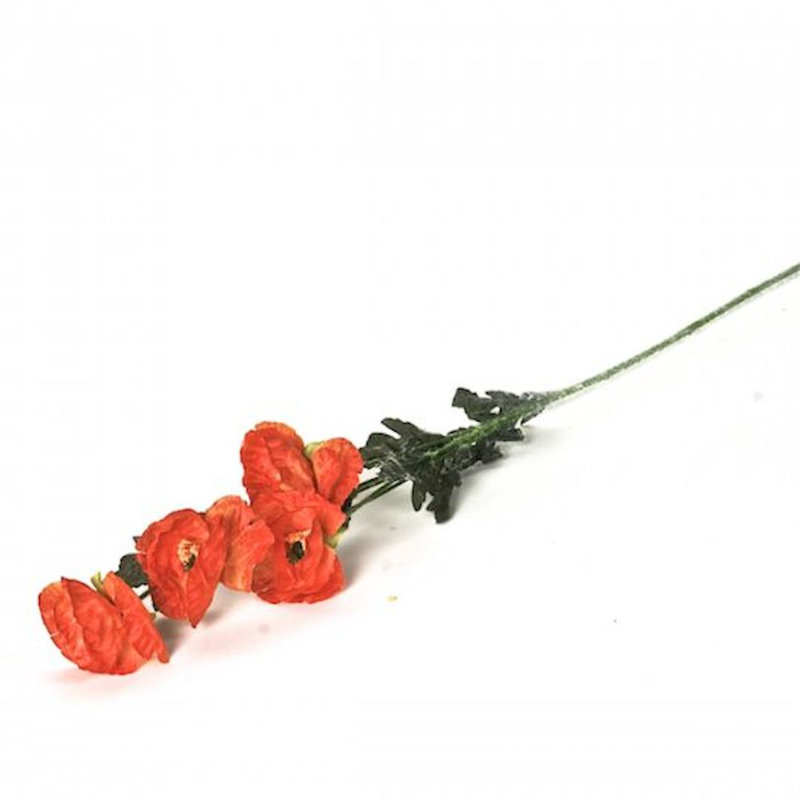 Poppies Arrangement