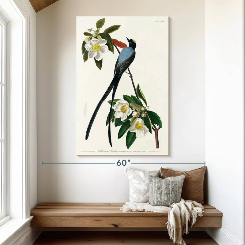 Brampt Fork-Tailed Flycatcher, 51" H x 34" W