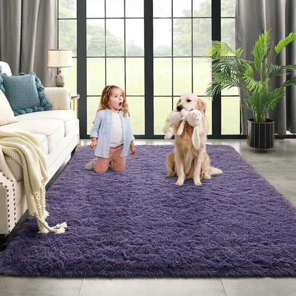 Large Living Room Area Rugs Bedroom Carpet Modern Door Mat Floor Hallway  Runners