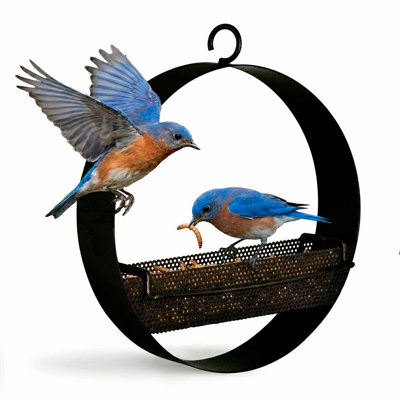 Dareen Hanging Tray Bird Feeder