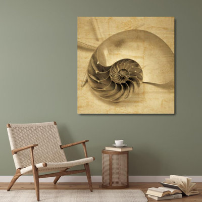 Rosecliff Heights Seba, John Gallery Wrapped Canvas Art Titled: Chambered Nautilus