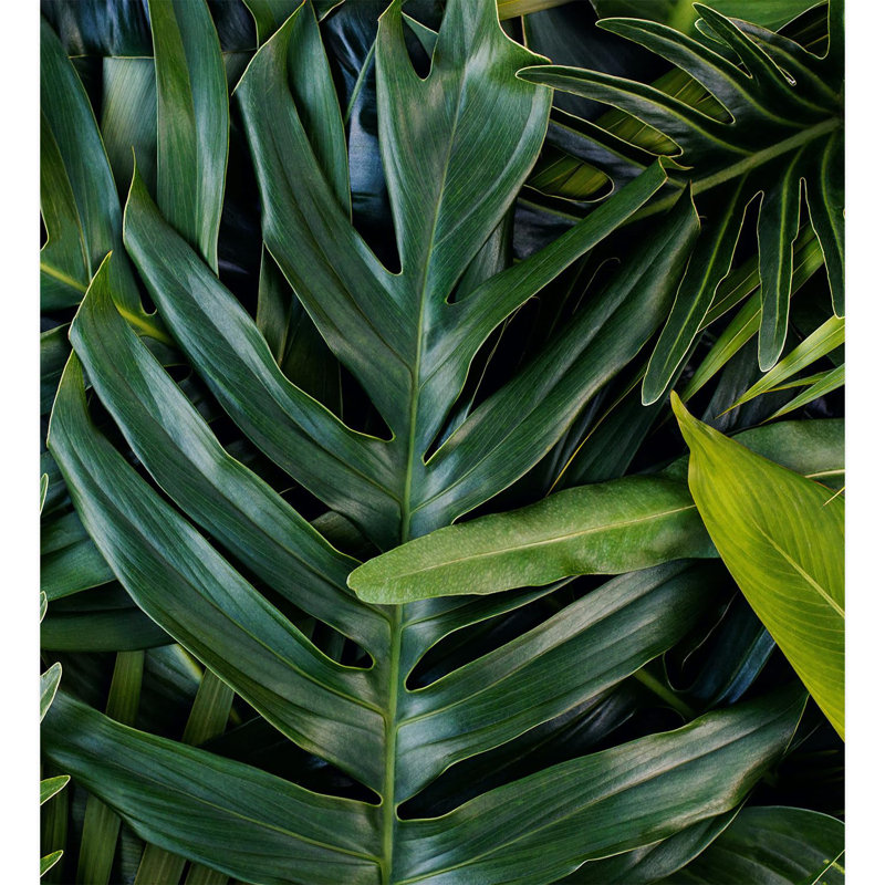 Peel & Stick Floral Border, 132" L x 120" W