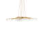 Aviva Stanoff 10 - Light Chandelier