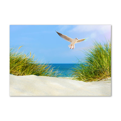 Seagull on the beach 1 Piece Wrapped Canvas Wall Art