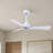 Alessandra 42'' Ceiling Fan-1421734444-1421734367
