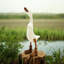 Aiko Animals Statue-1255523744