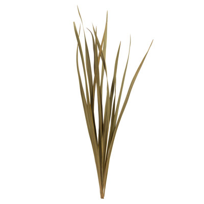 18'' Grass