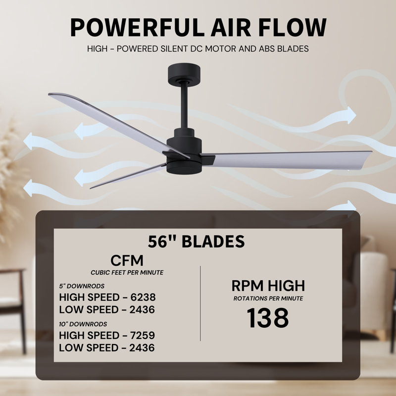 Alessandra Outdoor Downrod Ceiling Fan, Brushed Nickel, Matte Black