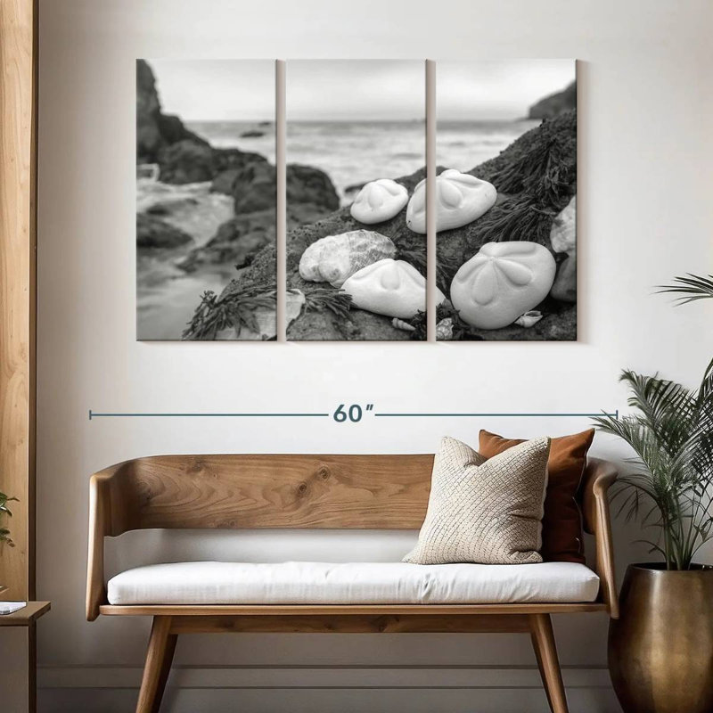 Coquille de plage Brampt White Crescent IV, H 32 po x l 50 po