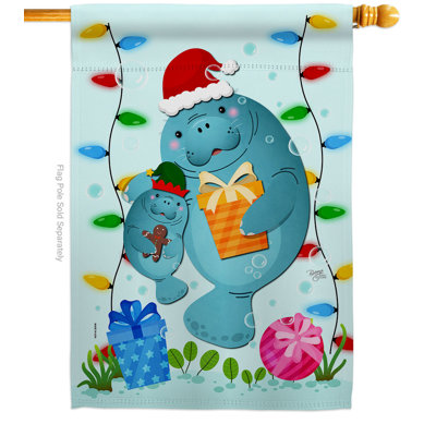 Double Sided 40'' H x 28'' W Polyester House Flag
