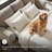 Gwendolynne Upholstered 92'' Sleeper Sofa-97832090