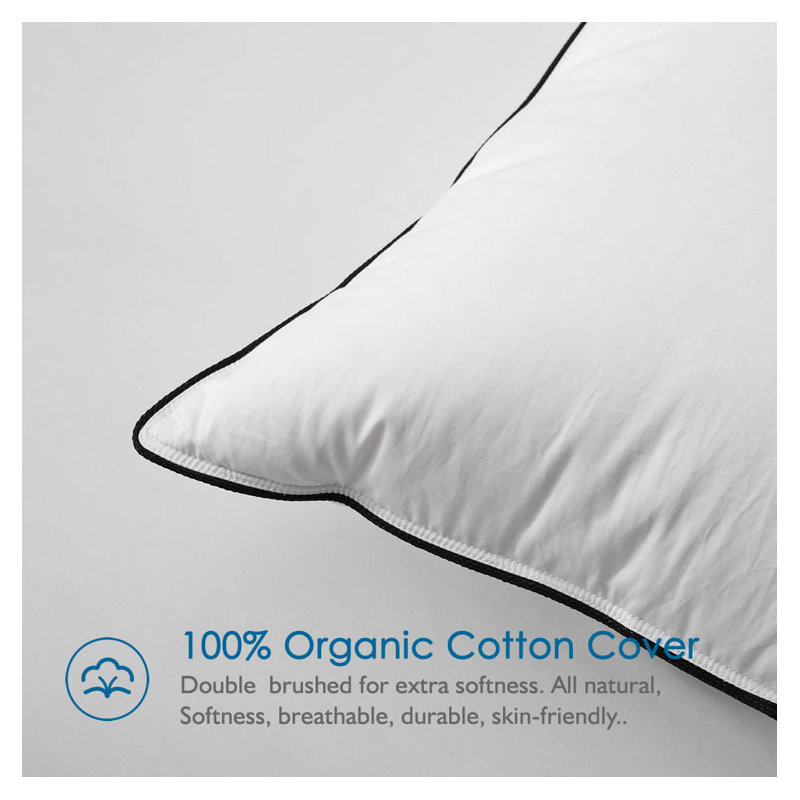  Down Feathers Medium-Support Bed Pillow, Standard