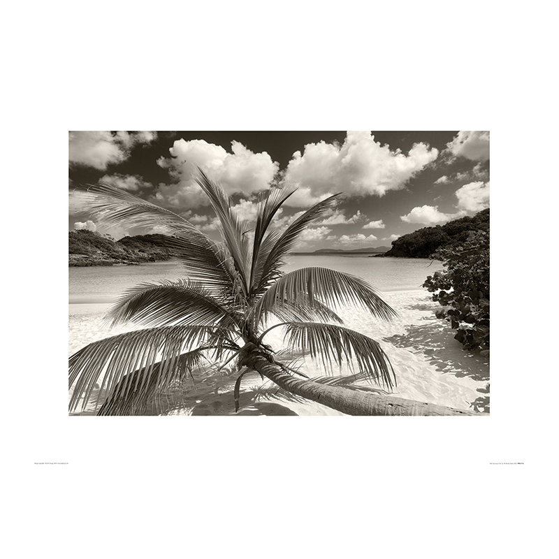 Print on Canvas, Paper