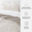 Quilt Set- Lightweight - All Season Quilted Coverlet - Tossed Ferns-105628159-105628161