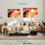 Lion surplombant un coucher de soleil-107675023