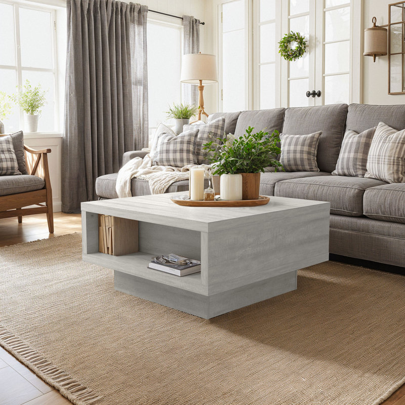 Caomhan Pedestal Coffee Table with Storage