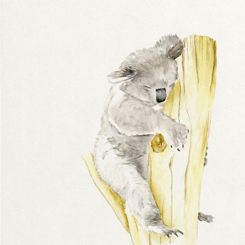 Baby Koala I by Melissa Wang - Wrapped Canvas Painting, 122cm H x 122cm W