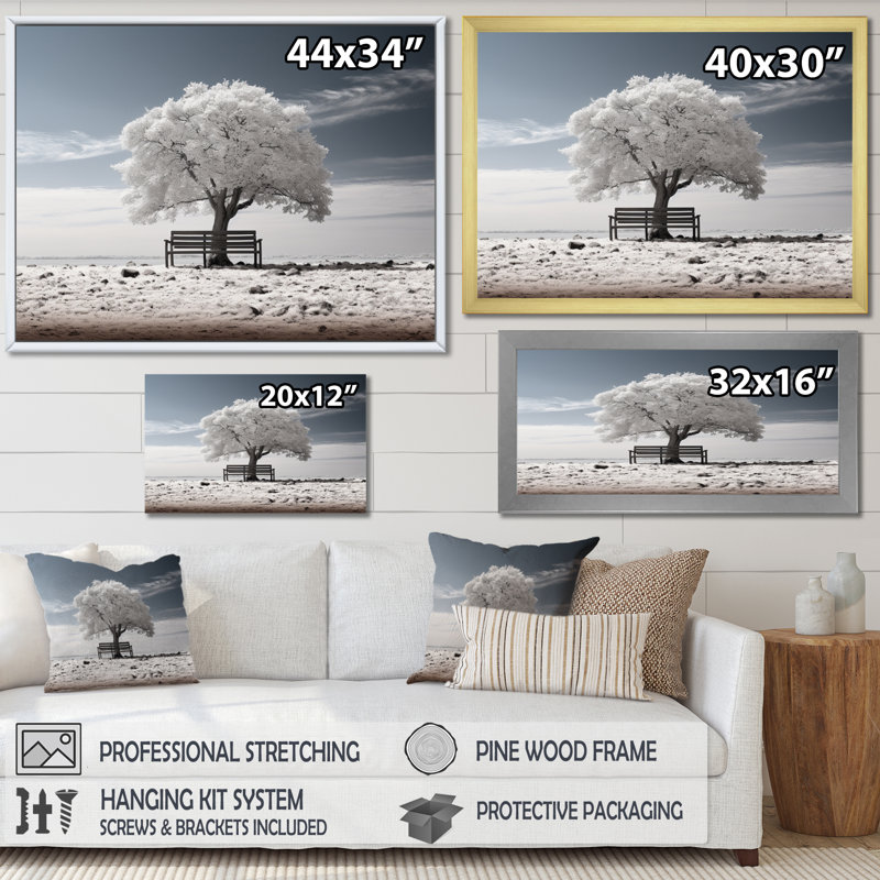 " Grey White Tree Monochromatic Contemplation ", 30" H x 40" W x 1.5" D, Natural Floater Framed