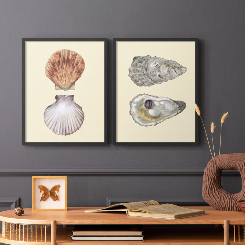 Coquilles bivalves III - reproduction encadrée de qualité supérieure - prête à être accrochée - aucun clou requis - aucun clou requis