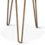 Mumbai 17" Side Table in Tiger Eye with Iron Base