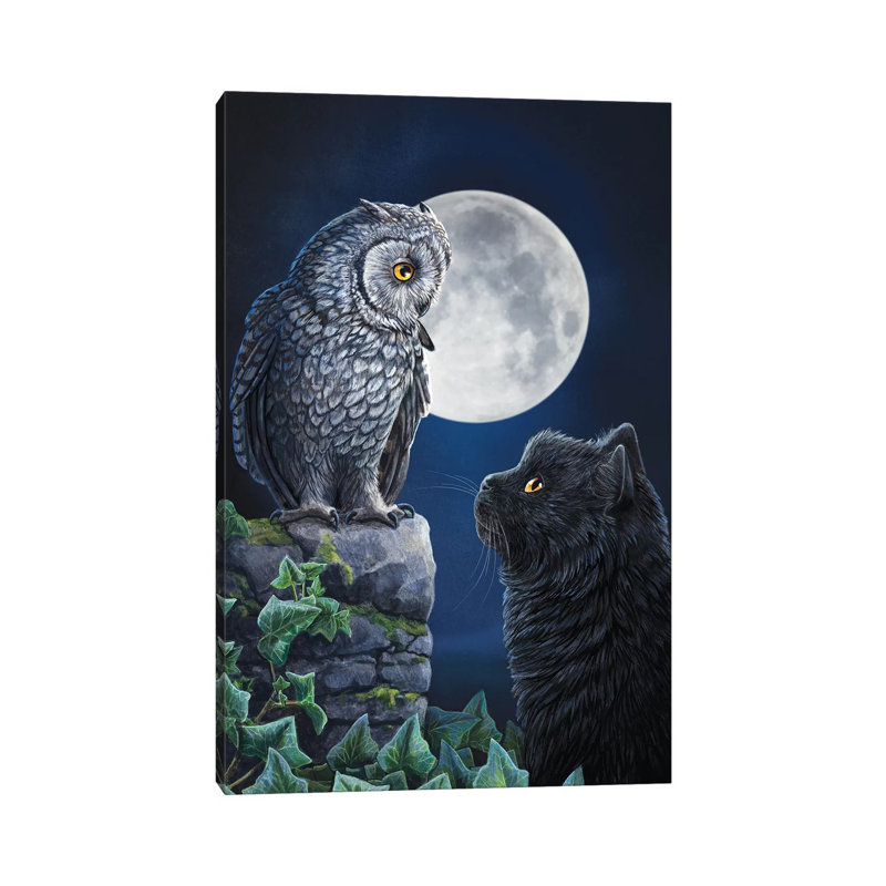 Purrfect Wisdom by Lisa Parker - Wrapped Canvas Print, 20.32 cm H x 30.48 cm W