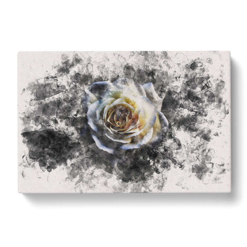 A Crisp White Rose - Wrapped Canvas Print, 50cm H x 76cm W x 3cm D